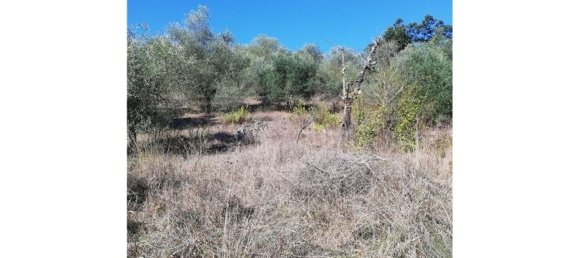 Grundstück in Lastra a Signa, Italy 8000m², Nr. 76104 3