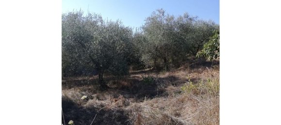 Grundstück in Lastra a Signa, Italy 8000m², Nr. 76104 5