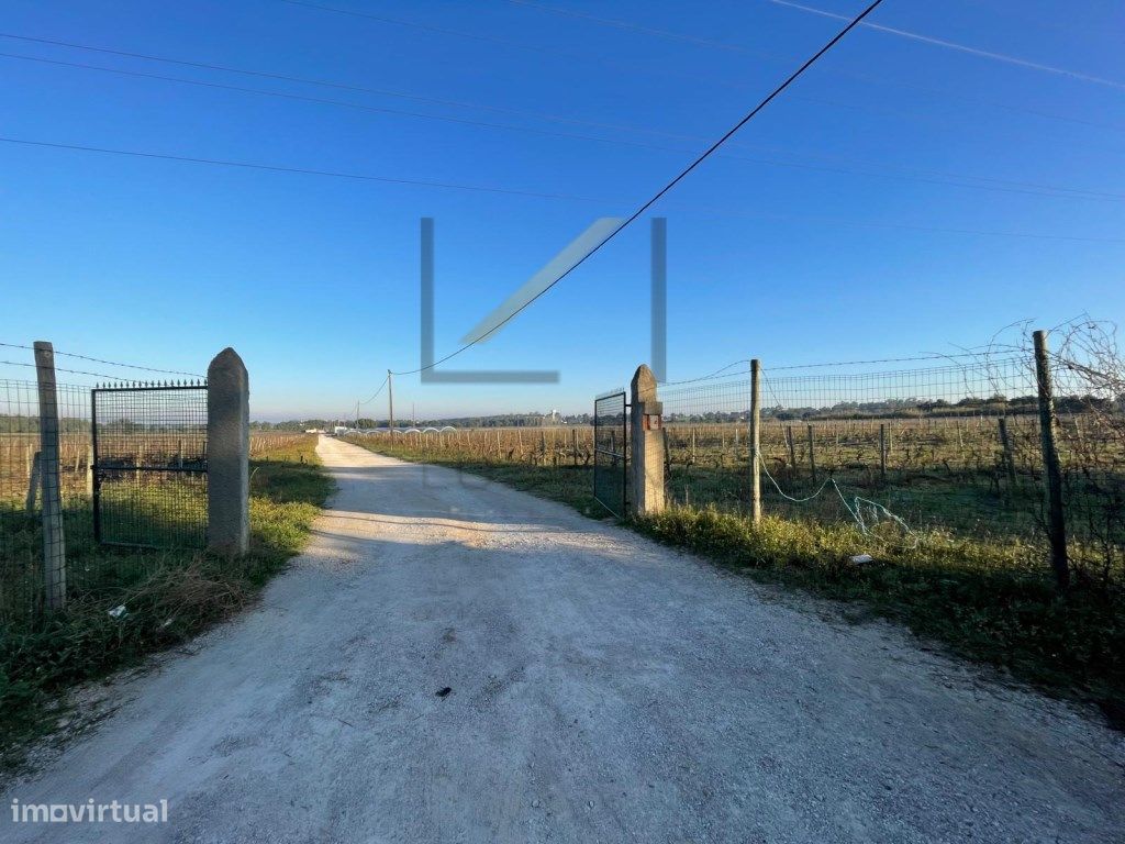 Grundstück in Palmela, Portugal 88119m², Nr. 190885