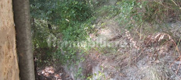 2 Schlafzimmer Haus in Schiavi di Abruzzo, Italy, Nr. 354685 22