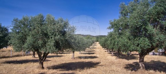 Casa T2 em Redondo, Portugal N.º 89194 19