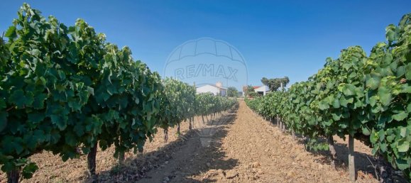 Casa T2 em Redondo, Portugal N.º 89194 25