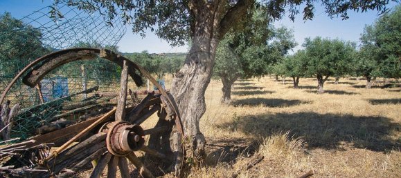Casa T2 em Redondo, Portugal N.º 89194 18