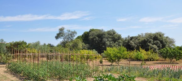 4 bedrooms House in La Tallada D'emporda, Spain No. 27738 9