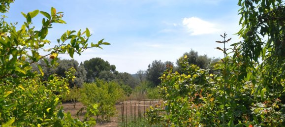 4 bedrooms House in La Tallada D'emporda, Spain No. 27738 10