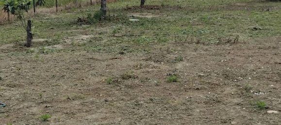 1500m² Land in Crotone, Italy No. 308873 3