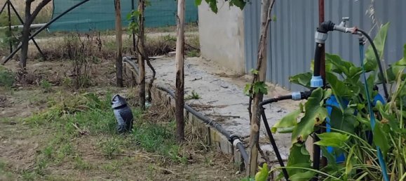 1500m² Land in Crotone, Italy No. 308873 5