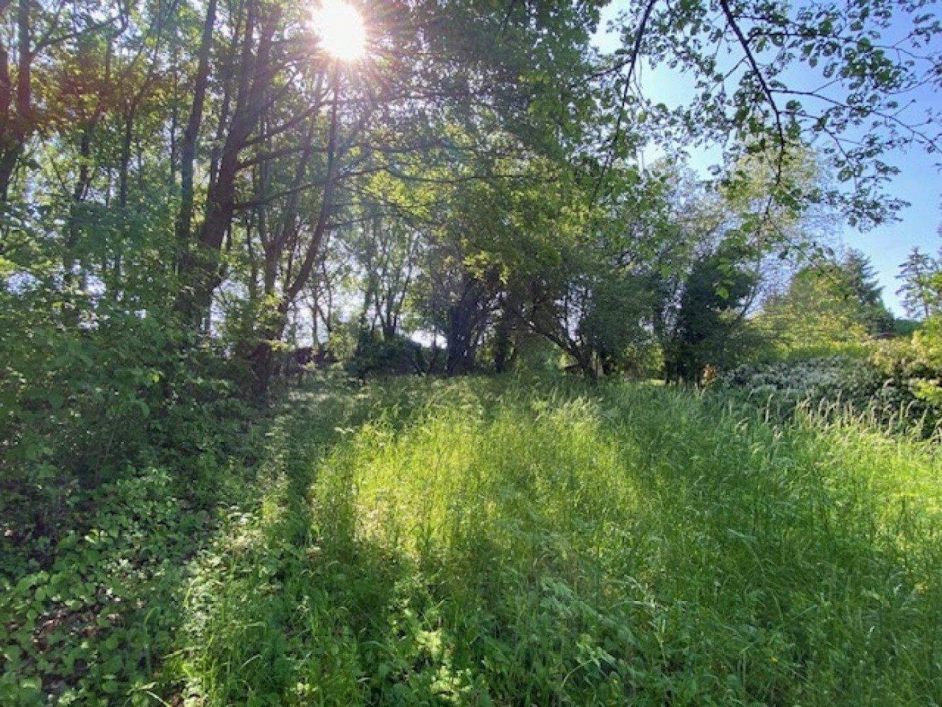 6 rooms House in Dobling, Austria No. 246834