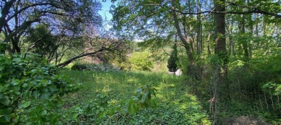 6 rooms House in Dobling, Austria No. 246834 39