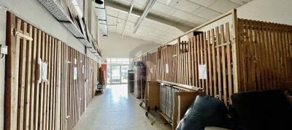 Коммерческая недвижимость с 4 комнатами в Фрайбург им Брайсгау, Германия № 309902 4