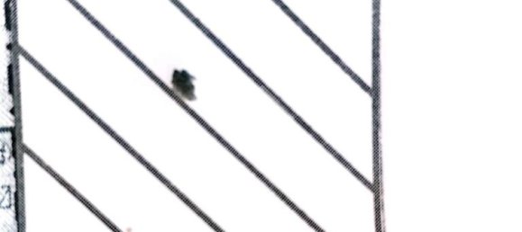 Дом с 2 спальнями в Ладисполи, Италия № 273412 10