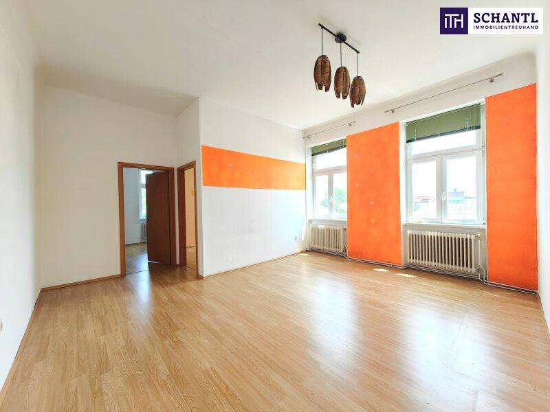 3 rooms Commercial property in Vienna, Austria No. 261853