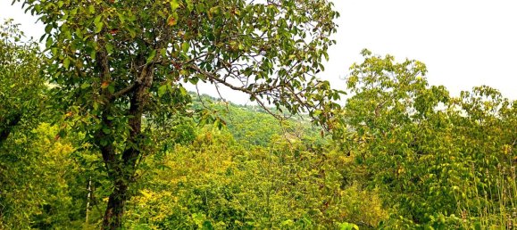 3 bedrooms Apartment in Alto Reno Terme, Italy No. 321815 19