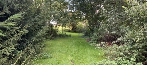 4 rooms House in Mecklenburgische Seenplatte, Germany No. 205013 7