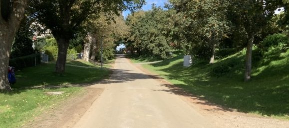 4 rooms House in Mecklenburgische Seenplatte, Germany No. 205013 8