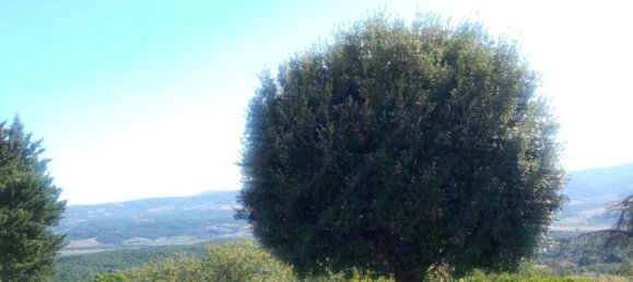 9 bedrooms Villa in Città della Pieve, Italy No. 371079 5