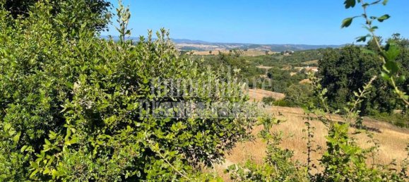 Casa de 11 habitaciónes en Manciano, Italy No. 305412 35