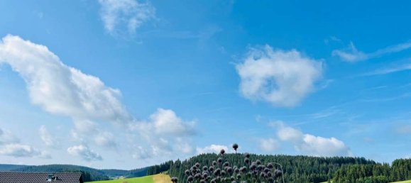 3-salle Appartement à Schwarzwald-Baar-Kreis, Germany No. 18225 10