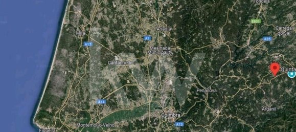 18 bedrooms Villa in Tabua, Portugal No. 75562 37