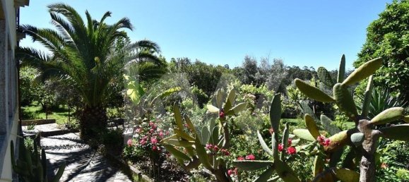 18 bedrooms Villa in Tabua, Portugal No. 75562 11