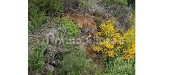 Grundstück in Pantelleria, Italy 5400m², Nr. 146224 10