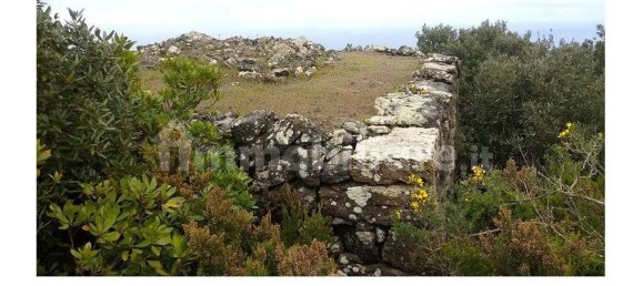 Grundstück in Pantelleria, Italy 5400m², Nr. 146224 11