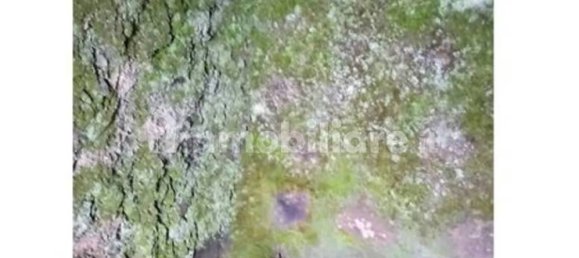 Grundstück in Pantelleria, Italy 5400m², Nr. 146224 14