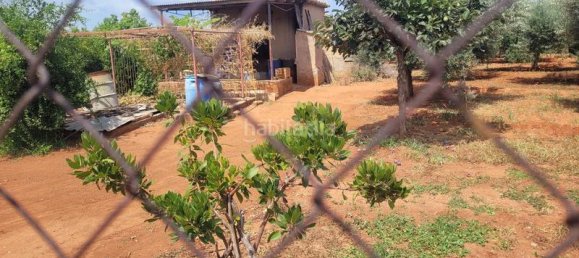 Земельный участок 2338м² в Вила-Реаль, Испания № 167462 2