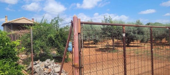 Земельный участок 2338м² в Вила-Реаль, Испания № 167462 5