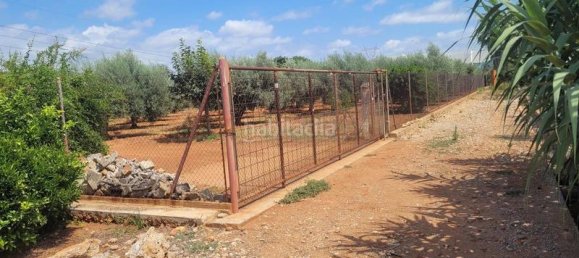 Земельный участок 2338м² в Вила-Реаль, Испания № 167462 3