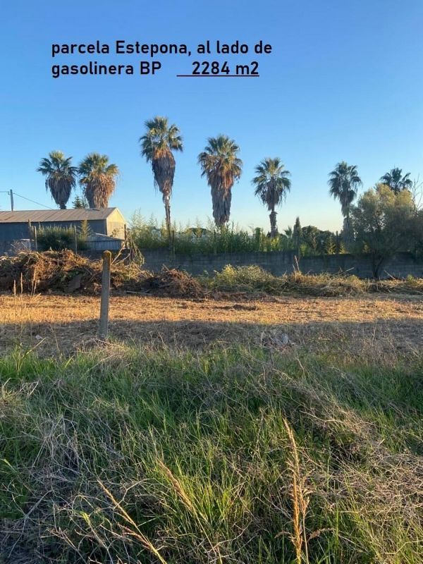 2284m² Land in Estepona, Spain No. 219467