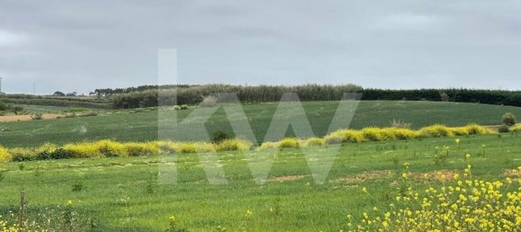 Terreno em Atouguia da Baleia, Portugal 52120 m² N.º 87483 4