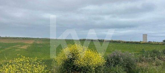 Terreno em Atouguia da Baleia, Portugal 52120 m² N.º 87483 7