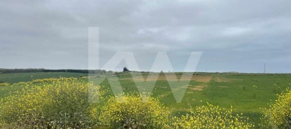 Terreno em Atouguia da Baleia, Portugal 52120 m² N.º 87483 8