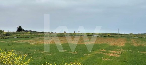 Terreno em Atouguia da Baleia, Portugal 52120 m² N.º 87483 12