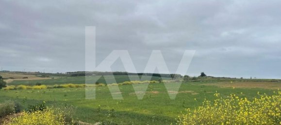 Terreno em Atouguia da Baleia, Portugal 52120 m² N.º 87483 2