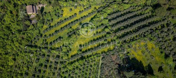 18 rooms House in Florence, Italy No. 238020 13