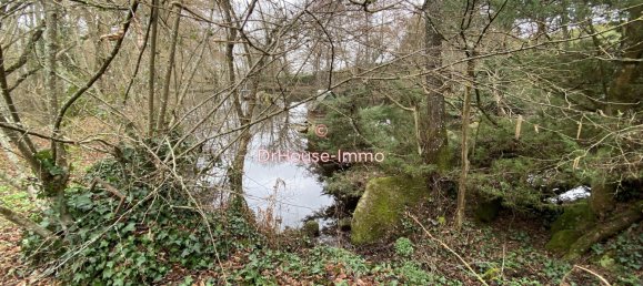  Castillos de 4 dormitorios en Crevant, France No. 50870 29