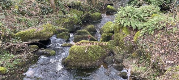  Castillos de 4 dormitorios en Crevant, France No. 50870 41
