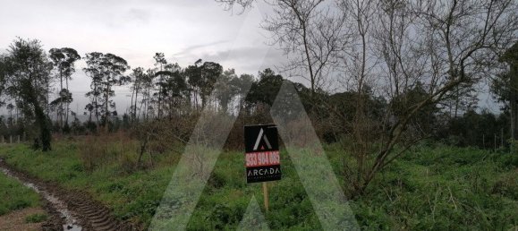 Grundstück in Aveiro, Portugal 2300m², Nr. 89431 12