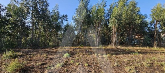 Grundstück in Aveiro, Portugal 2300m², Nr. 89431 3