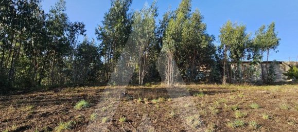 Grundstück in Aveiro, Portugal 2300m², Nr. 89431 4