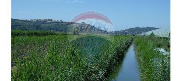 9 Schlafzimmer Haus in Cela, Portugal, Nr. 60636 11