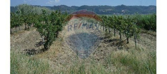 9 Schlafzimmer Haus in Cela, Portugal, Nr. 60636 9