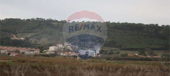 9 Schlafzimmer Haus in Cela, Portugal, Nr. 60636 30