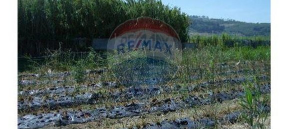 9 Schlafzimmer Haus in Cela, Portugal, Nr. 60636 10