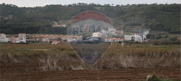 9 Schlafzimmer Haus in Cela, Portugal, Nr. 60636 26