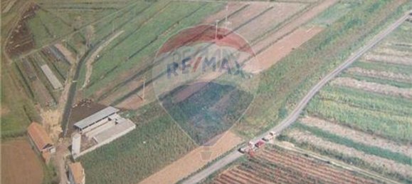 9 Schlafzimmer Haus in Cela, Portugal, Nr. 60636 8