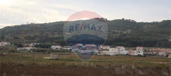 9 Schlafzimmer Haus in Cela, Portugal, Nr. 60636 29