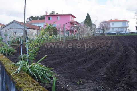 Grundstück in Barcelos, Portugal, Nr. 202252